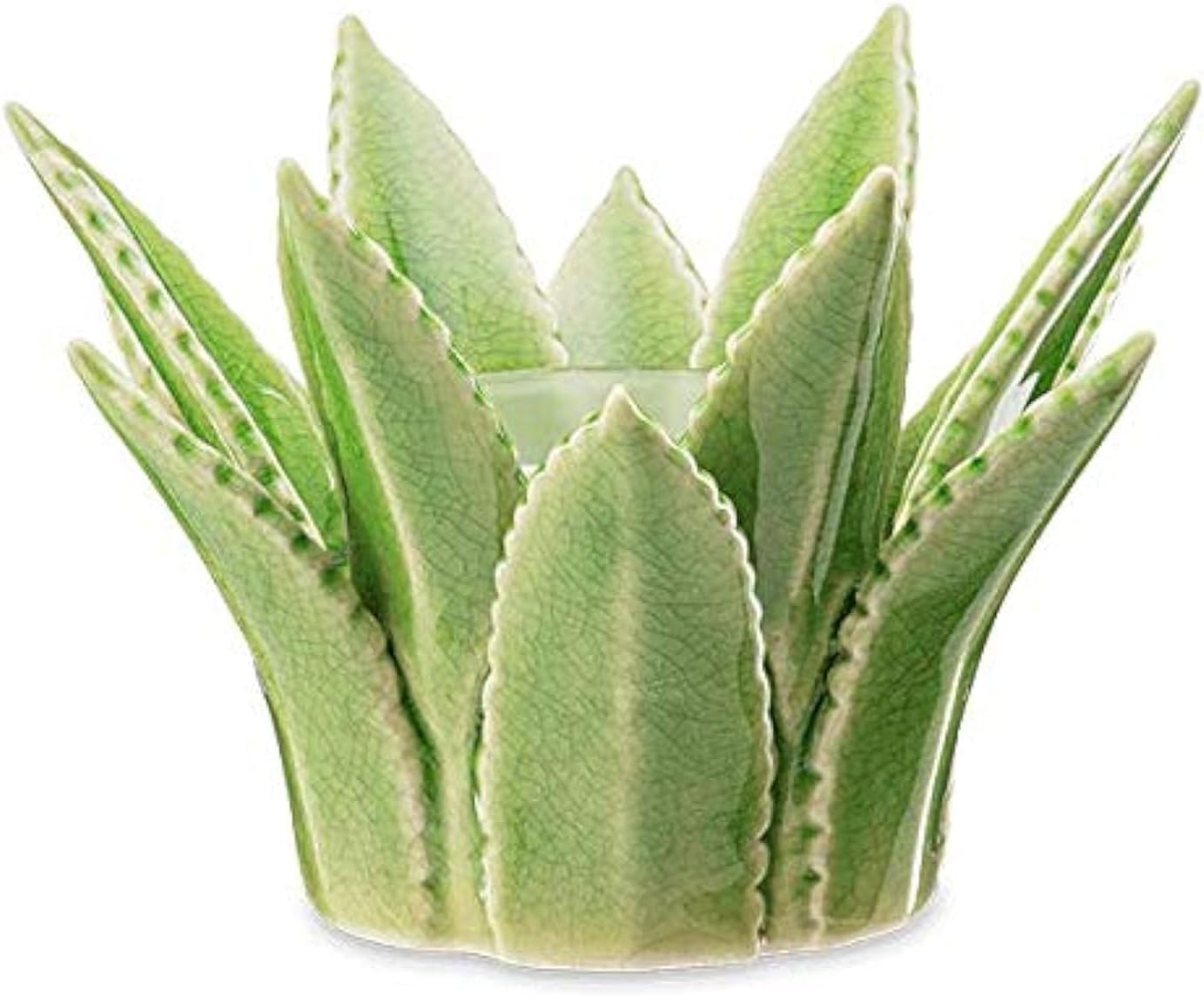 Scentsy Aloe Vera Warmer
