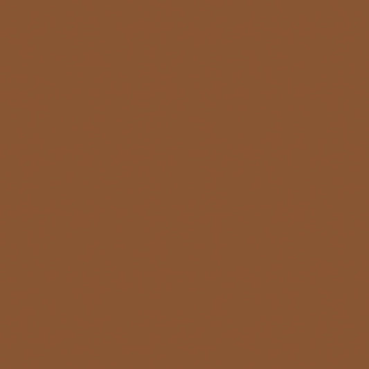 BLK/OPL Concealing Foundation, Total Coverage - Face Foundation with Medium to Full Coverage for a Luminous Velvety Finish - Oil-Free Color Correcting Concealer - Hypoallergenic Makeup-Hazelnut