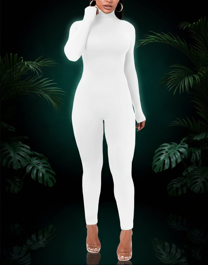 Azhong Women's Sexy Long Sleeve Turtleneck Jumpsuits Bodycon Back Zipper High Waist One Piece Casual Club Rompers