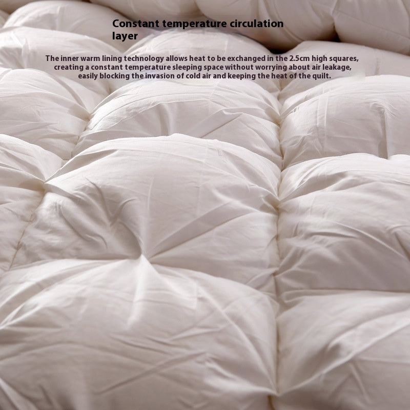 Twisted Duvet Cotton Goose Down Duvet Insert Thick Warm Autumn And Winter