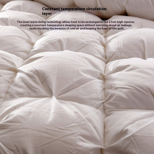 Twisted Duvet Cotton Goose Down Duvet Insert Thick Warm Autumn And Winter