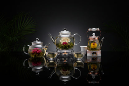Teabloom Stovetop & Microwave Safe Glass Teapot with Removable Loose Tea Glass Infuser – Includes 2 Blooming Teas – 2-in-1 Tea Kettle and Tea Maker – Tea Purist's Choice