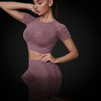 Women Seamless Yoga Outfits 2 Piece Set Workout Gym Shorts + Short Sleeve Crop Top