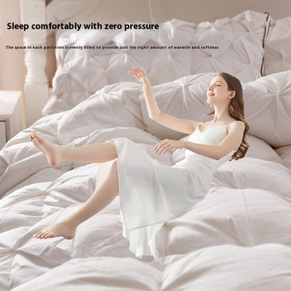 Twisted Duvet Cotton Goose Down Duvet Insert Thick Warm Autumn And Winter